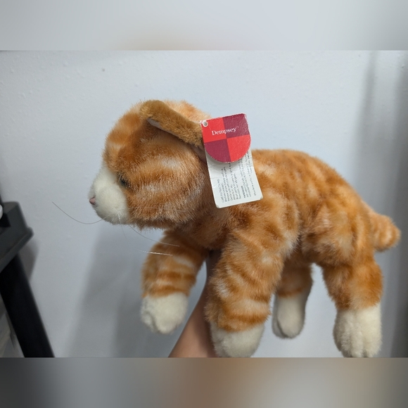 Beautiful orange tabby cat, tags attached but aged. - Picture 2 of 6